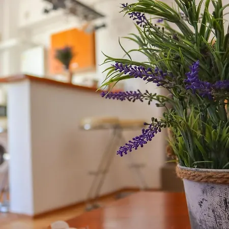 Apartament Estrella - Bychoice
